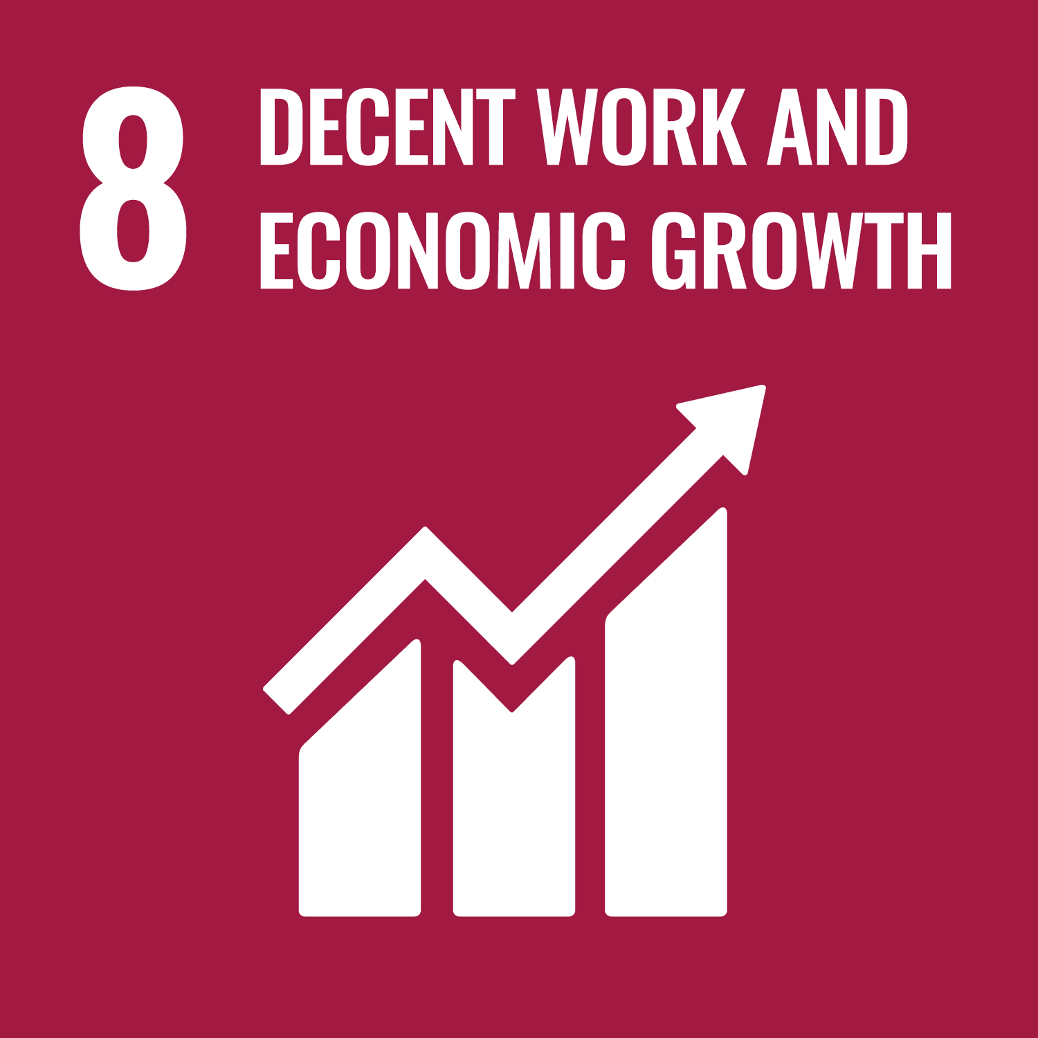 8 DECENT WORK AND ECONOMIC OPPORTUNITIES